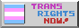 A button with text reading TRANS RIGHTS NOW! alongside a trans flag.
